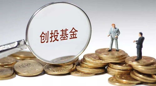資本新布局 達晨創投入股河南文投旗下懷樸投資，加速文化產業投資版圖擴張
