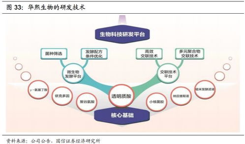 化妝品行業2020年投資展望 產品先行，流量催化，資本助力